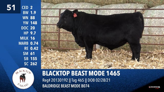 Lot #51 - BLACKTOP BEAST MODE 1465