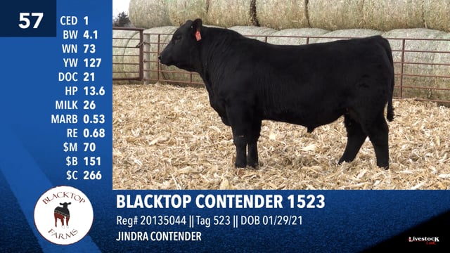 Lot #57 - BLACKTOP CONTENDER 1523