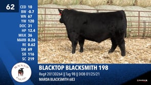 Lot #62 - BLACKTOP BLACKSMITH 198