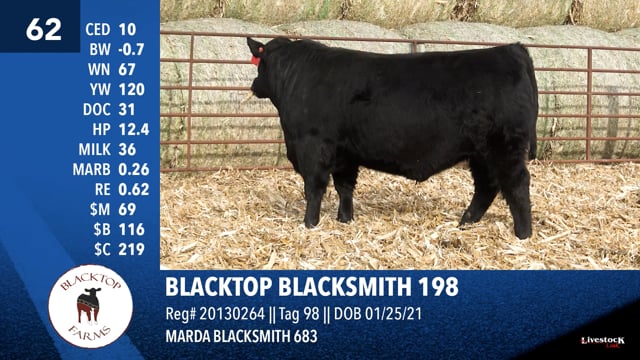 Lot #62 - BLACKTOP BLACKSMITH 198