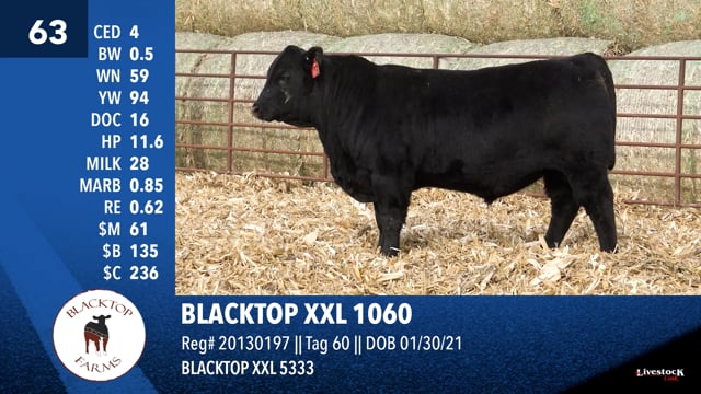 Lot #63 - BLACKTOP XXL 1060