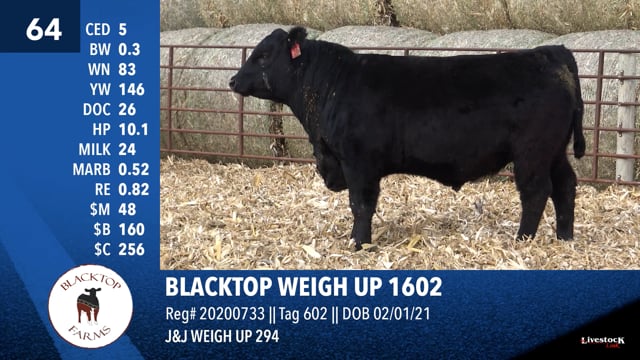 Lot #64 - BLACKTOP WEIGH UP 1602