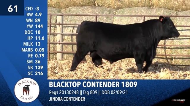 Lot #61 - BLACKTOP CONTENDER 1809