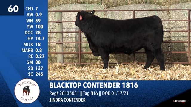 Lot #60 - BLACKTOP CONTENDER 1816