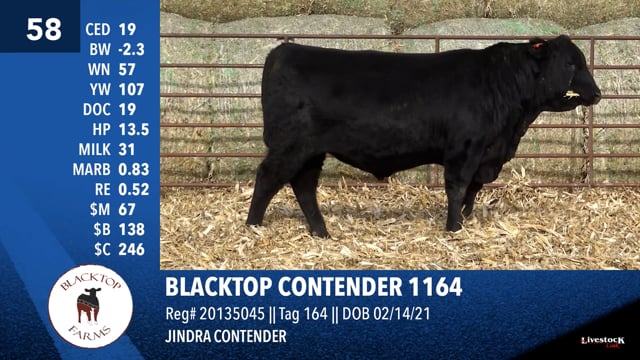 Lot #58 - BLACKTOP CONTENDER 1164