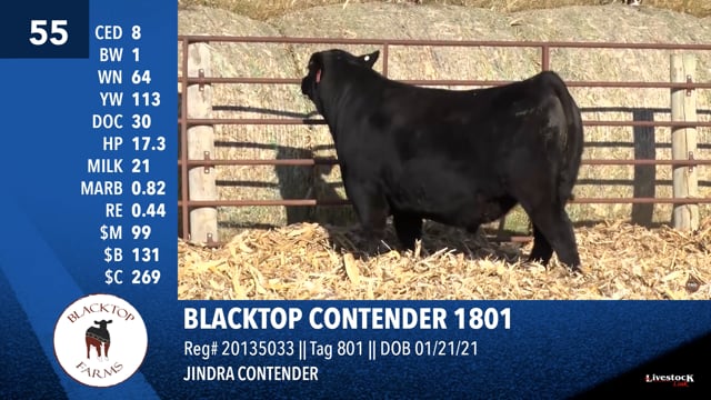 Lot #55 - BLACKTOP CONTENDER 1801