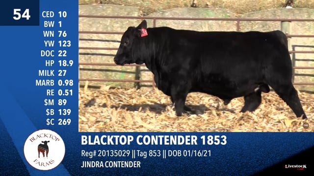 Lot #54 - BLACKTOP CONTENDER 1853