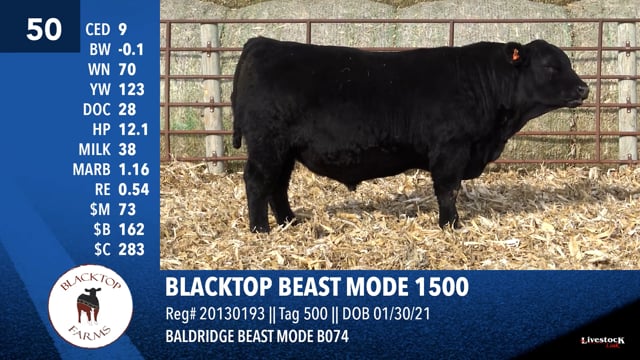 Lot #50 - **OUT** BLACKTOP BEAST MODE 1500 **OUT**