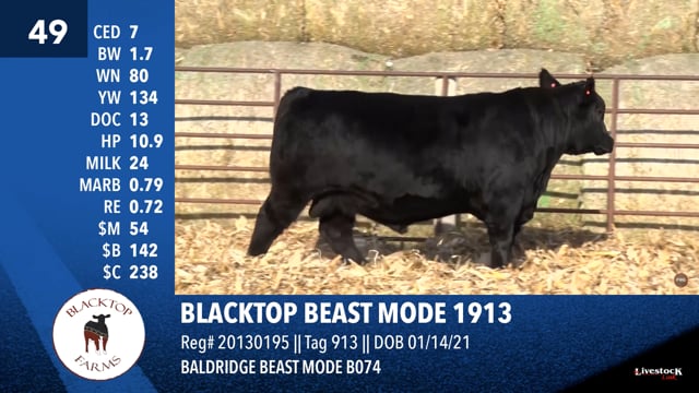 Lot #49 - BLACKTOP BEAST MODE 1913