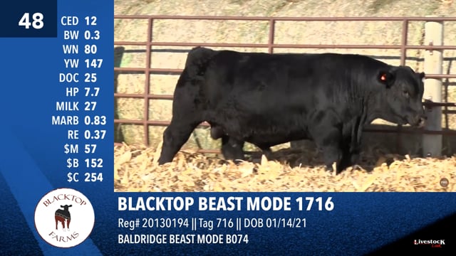Lot #48 - BLACKTOP BEAST MODE 1716