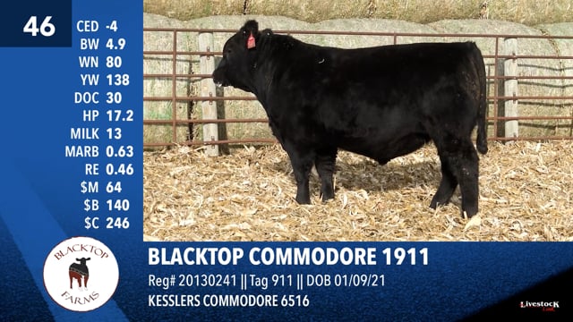 Lot #46 - BLACKTOP COMMODORE 1911