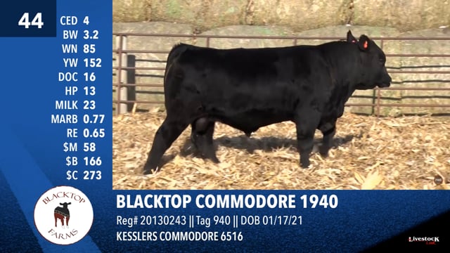 Lot #44 - BLACKTOP COMMODORE 1940