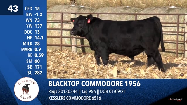 Lot #43 - BLACKTOP COMMODORE 1956