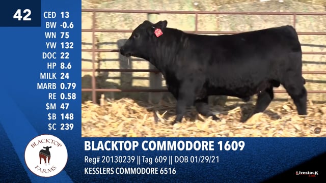 Lot #42 - BLACKTOP COMMODORE 1609