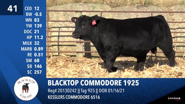 Lot #41 - BLACKTOP COMMODORE 1925