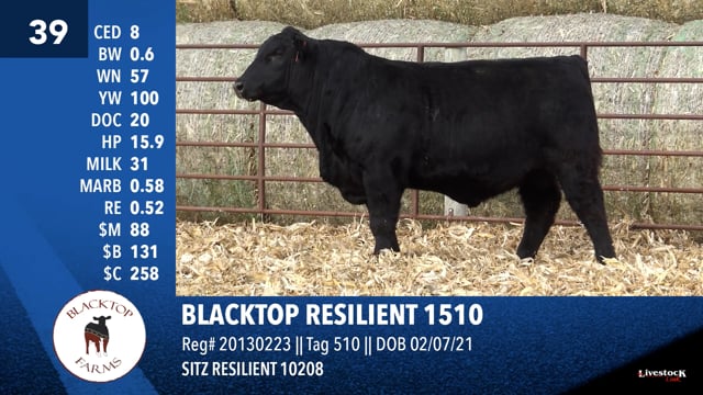Lot #39 - BLACKTOP RESILIENT 1510