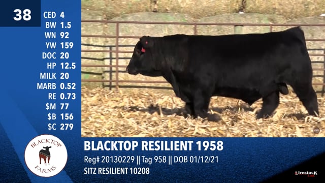 Lot #38 - BLACKTOP RESILIENT 1958