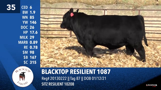 Lot #35 - BLACKTOP RESILIENT 1087