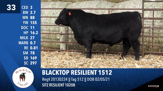 Lot #33 - BLACKTOP RESILIENT 1512