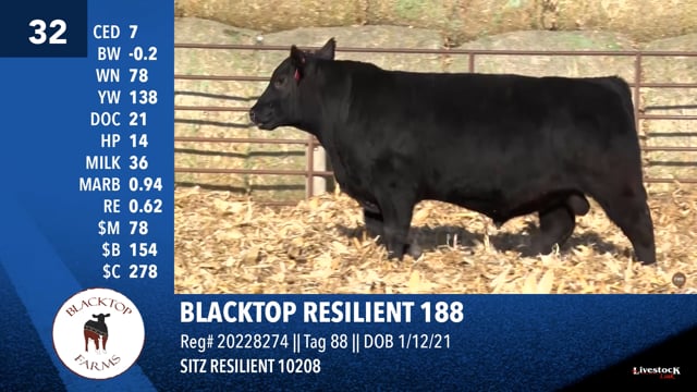 Lot #32 - BLACKTOP RESILIENT 188