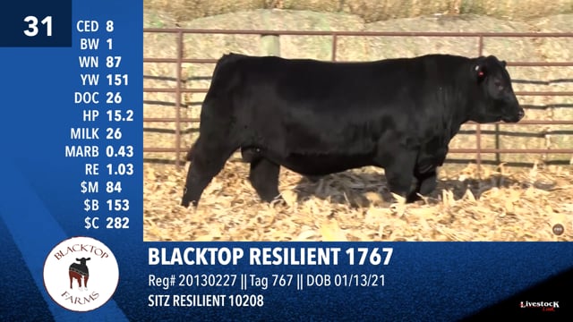 Lot #31 - BLACKTOP RESILIENT 1767