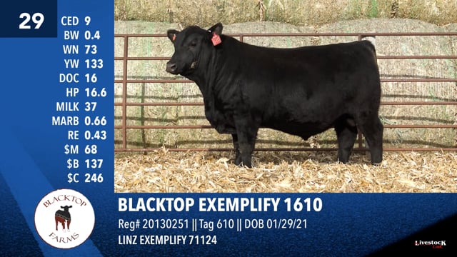 Lot #29 - BLACKTOP EXEMPLIFY 1610