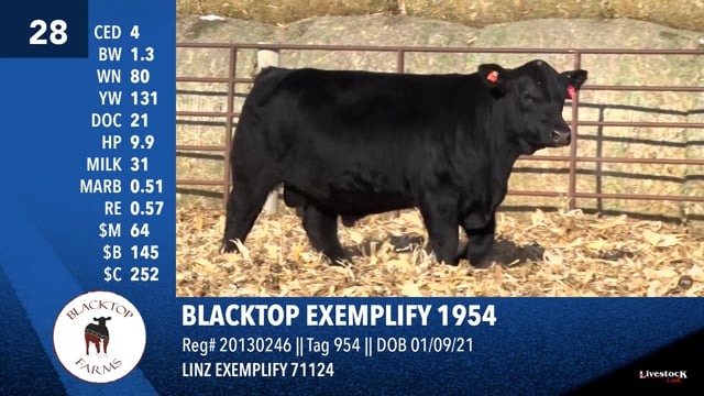 Lot #28 - BLACKTOP EXEMPLIFY 1954