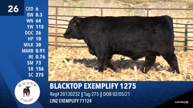 Lot #26 - BLACKTOP EXEMPLIFY 1275