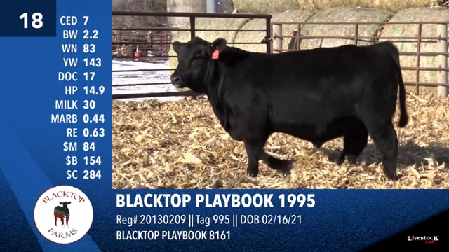 Lot #18 - BLACKTOP PLAYBOOK 1995
