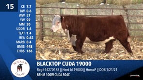 Lot #15 - BLACKTOP CUDA 19000
