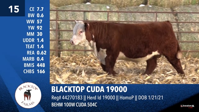 Lot #15 - BLACKTOP CUDA 19000
