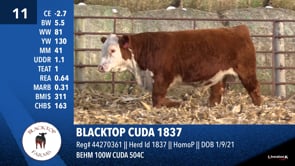 Lot #11 - BLACKTOP CUDA 1837