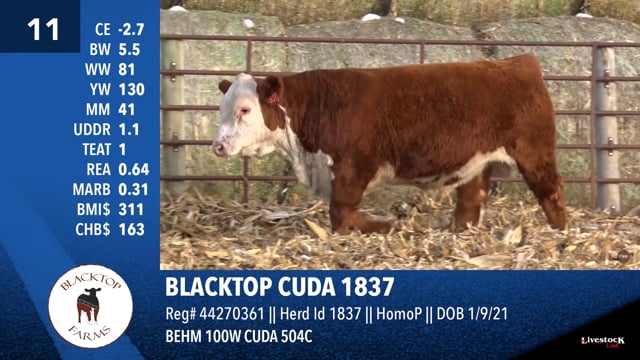 Lot #11 - BLACKTOP CUDA 1837