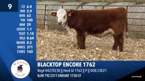 Lot #9 - BLACKTOP ENCORE 1762