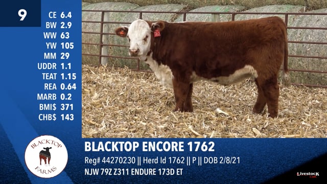 Lot #9 - BLACKTOP ENCORE 1762