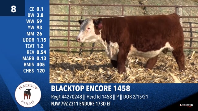 Lot #8 - BLACKTOP ENCORE 1458