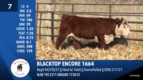 Lot #7 - BLACKTOP ENCORE 1664