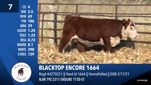 Lot #7 - BLACKTOP ENCORE 1664
