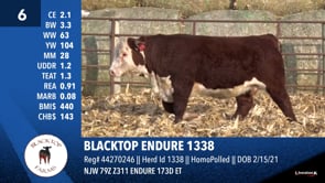 Lot #6 - BLACKTOP ENDURE 1338