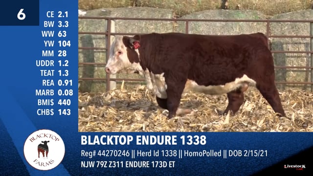 Lot #6 - BLACKTOP ENDURE 1338