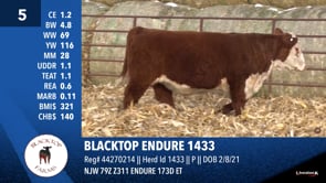 Lot #5 - BLACKTOP ENDURE 1433