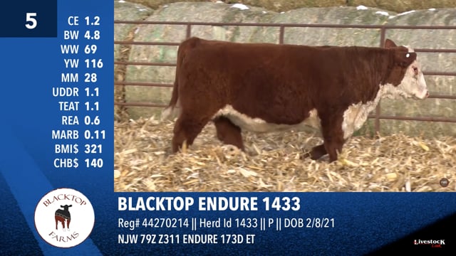 Lot #5 - BLACKTOP ENDURE 1433