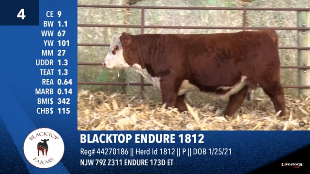 Lot #4 - BLACKTOP ENDURE 1812