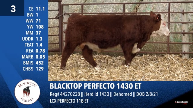 Lot #3 - BLACKTOP PERFECTO 1430 ET