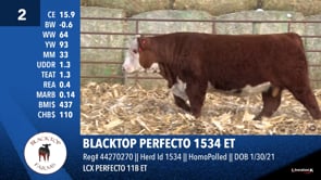 Lot #2 - BLACKTOP PERFECTO 1534 ET