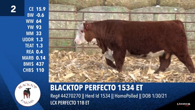 Lot #2 - BLACKTOP PERFECTO 1534 ET