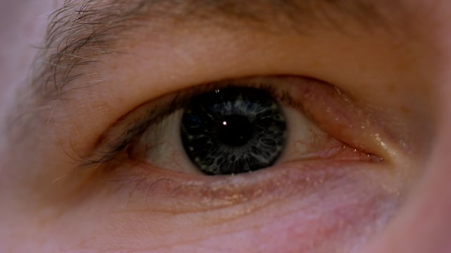 Blink. A close-up of an eye blinking.