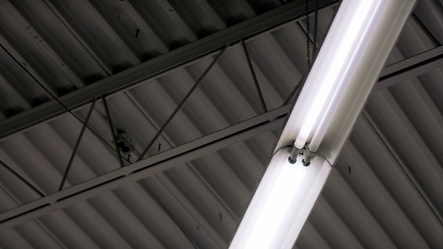 Fluorescent lights and industrial beams in the ceiling of warehouse space. 
