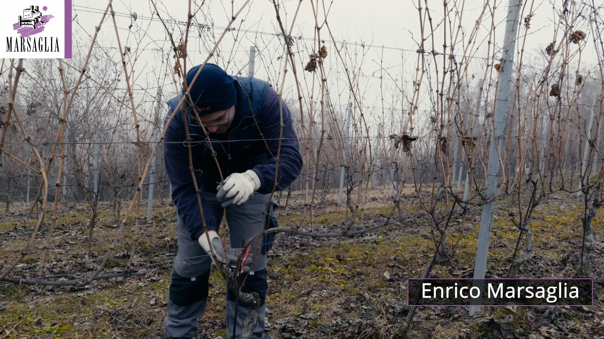 La Potatura | The Pruning