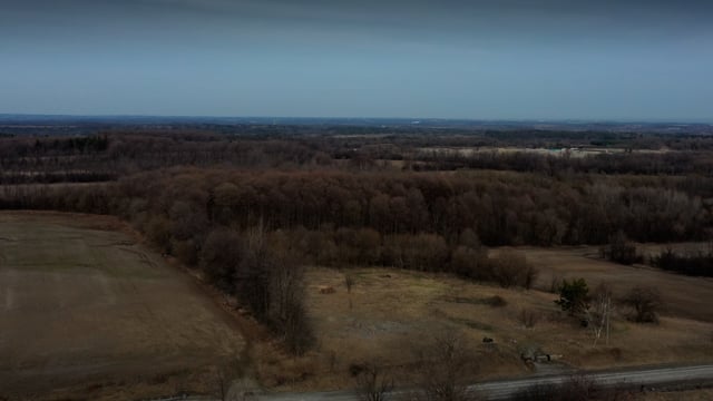 Rural vista in early spring. 